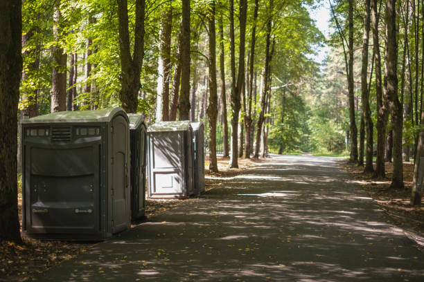 Best Porta potty rental near me  in Springfield, MI